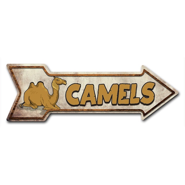Camels Arrow Decal Funny Home Decor 24in Wide